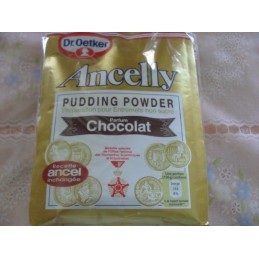 Crème en poudre chocolat ancelly 160g