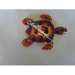 Magnet tortue